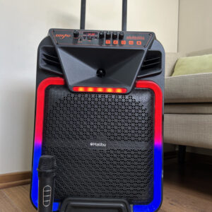 Parlante MALIBU 2*10 Pulgadas. 100W. 6000 mah
Parlante tipo valija con Ruedas incluidas
Bluetooth. Radio FM. Compatibilidad AUX/USB/TF
Equalizador
Tamaño: 40*28*57 cm
Luces LED dinámicas.
Entrada para micrófono. Incluye 1 control remoto (No incluye pila)
Micrófono inalambrico incorporado. (Usa bateria recargable tipo CCable incluido)
Peso: 4,80 kgs